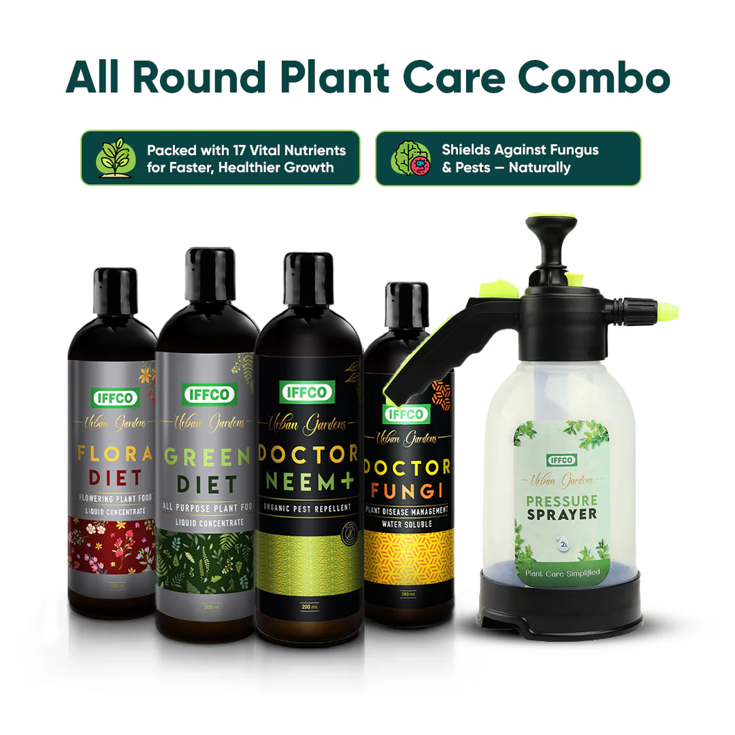 Grow Fresh Organic Greens Effortlessly