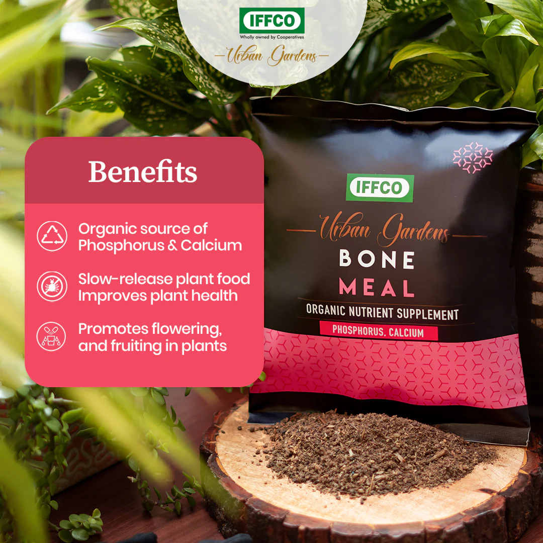 Bone Meal - Organic Phosphorus + Calcium Fertilizer, Slow Release Powder - Image 3