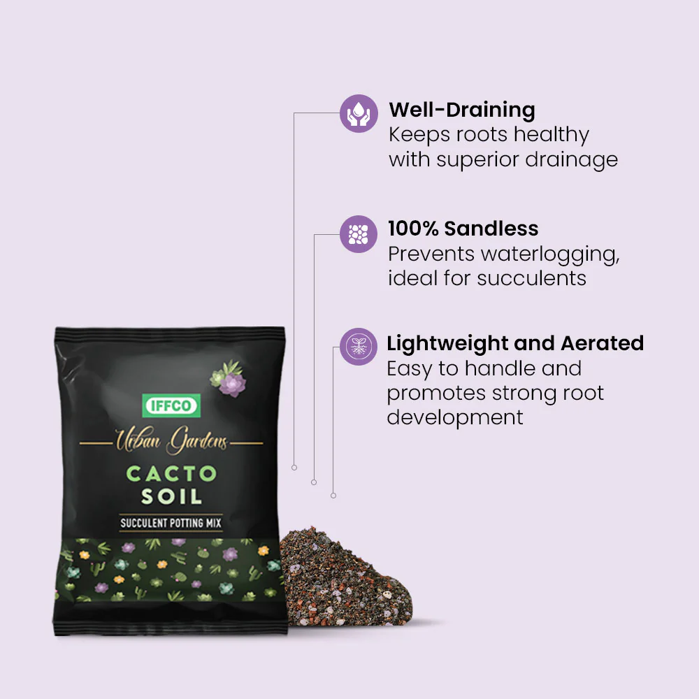 Cacto Soil - Succulent Potting Mix - Image 5