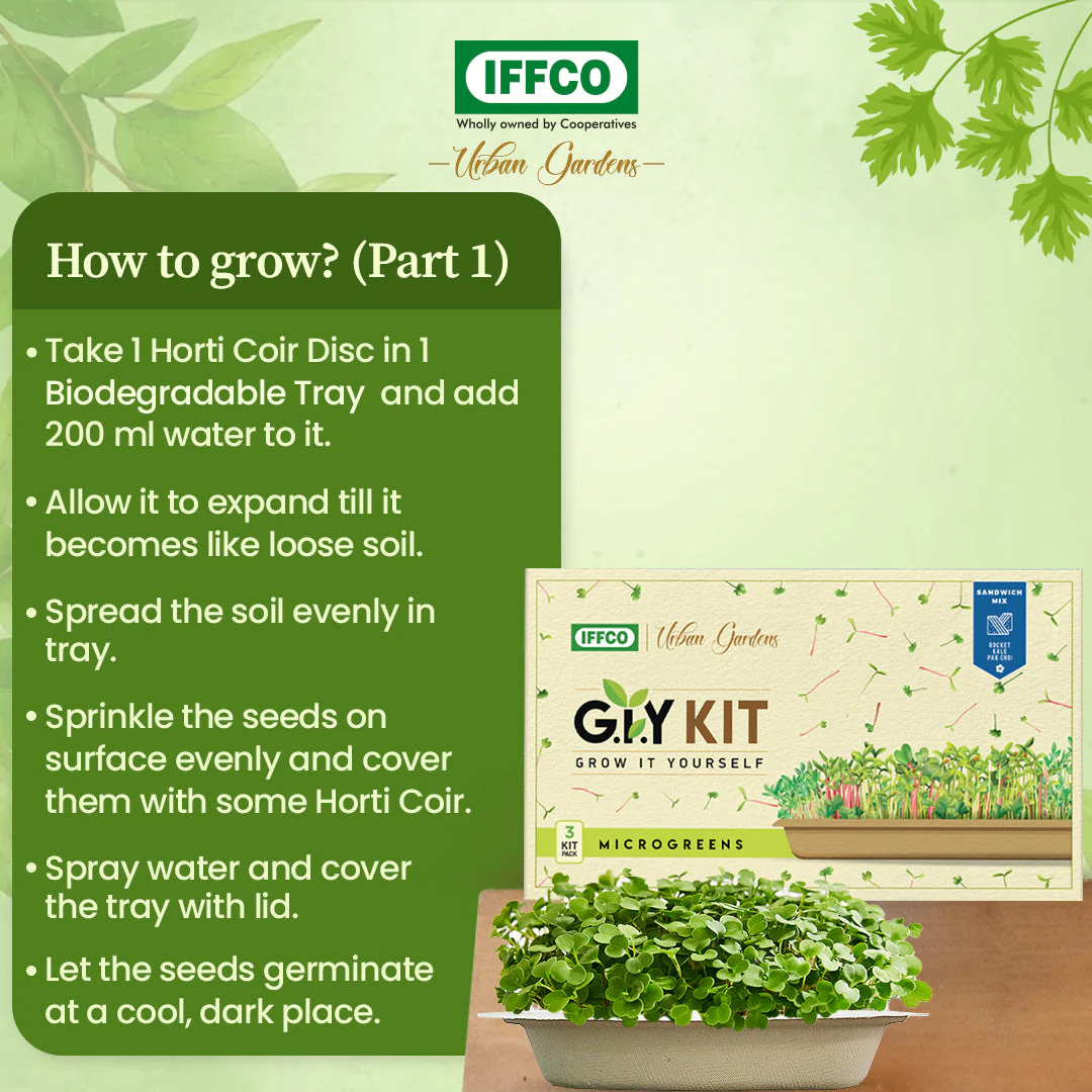 Grow It Yourself (GIY) Microgreens Kit - SALAD MIX (3 Tray Pack) - Image 4