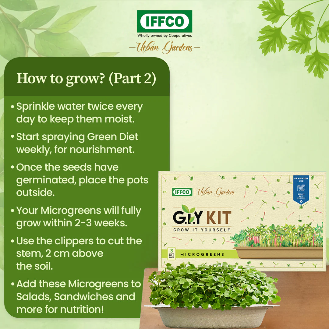 Grow It Yourself (GIY) Microgreens Kit - SALAD MIX (3 Tray Pack) - Image 5
