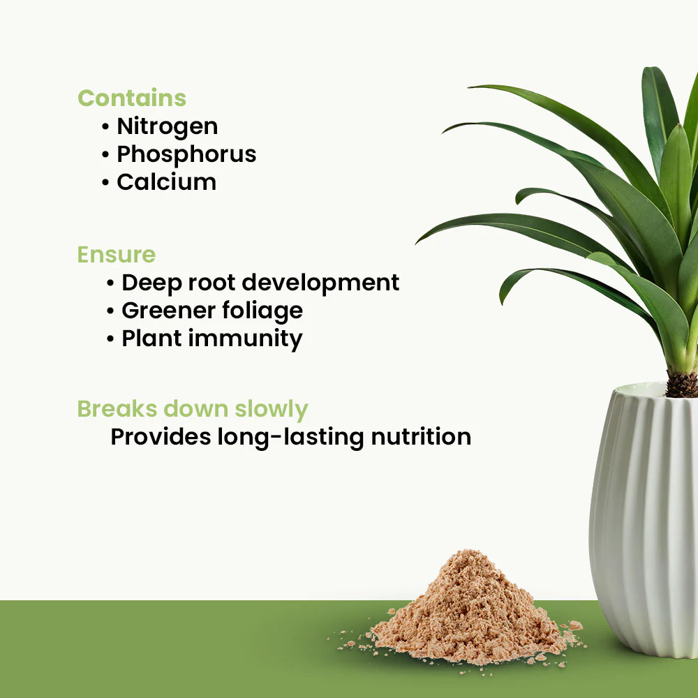 Fish Meal - Bio Nitrogen Fertilizer - Image 4