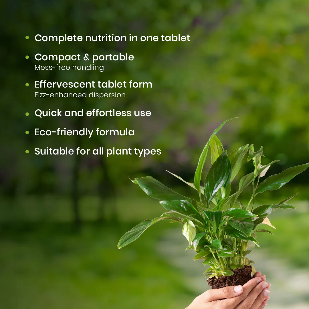 Green Diet – Complete Plant Food, Effervescent Tablets - Image 4