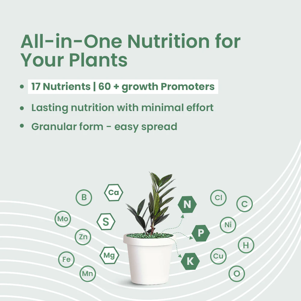 Green Diet – Complete Plant Food, Slow Release Granules - Image 3