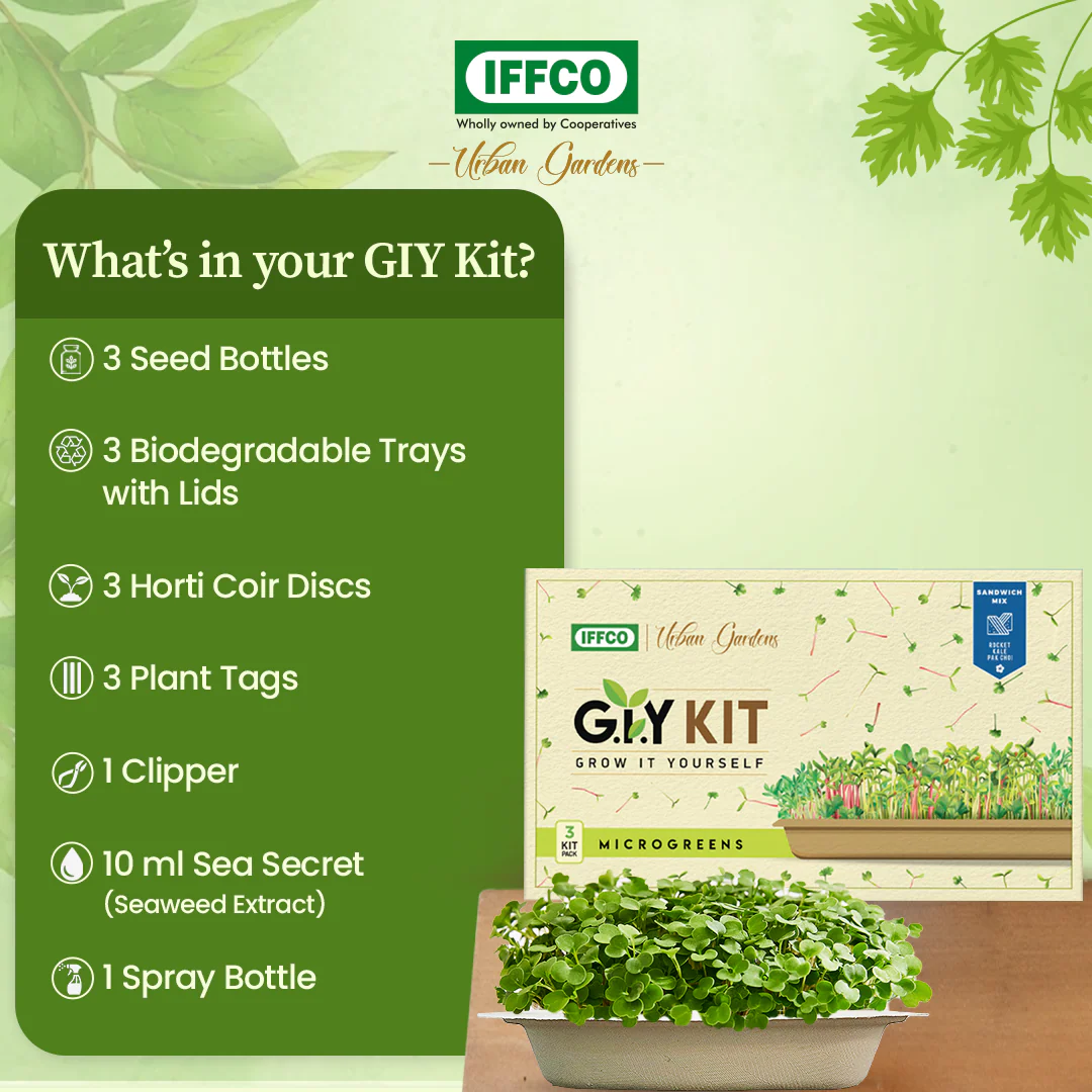 Grow It Yourself (GIY) Microgreens Kit - SANDWICH MIX (3 Tray Pack) - Image 3
