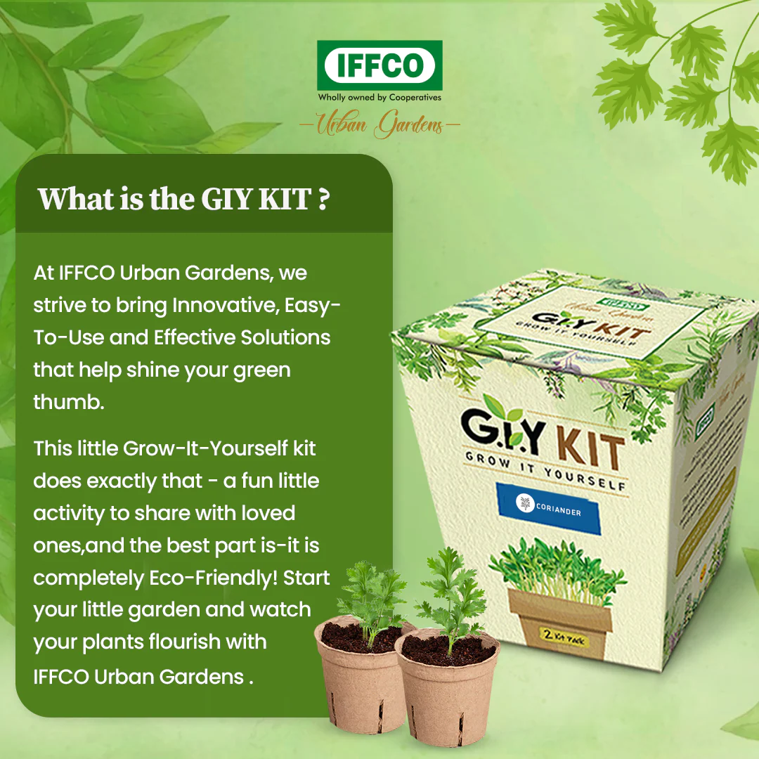 Grow It Yourself (GIY) Kit - BASIL (2 Pot Pack) - Image 3