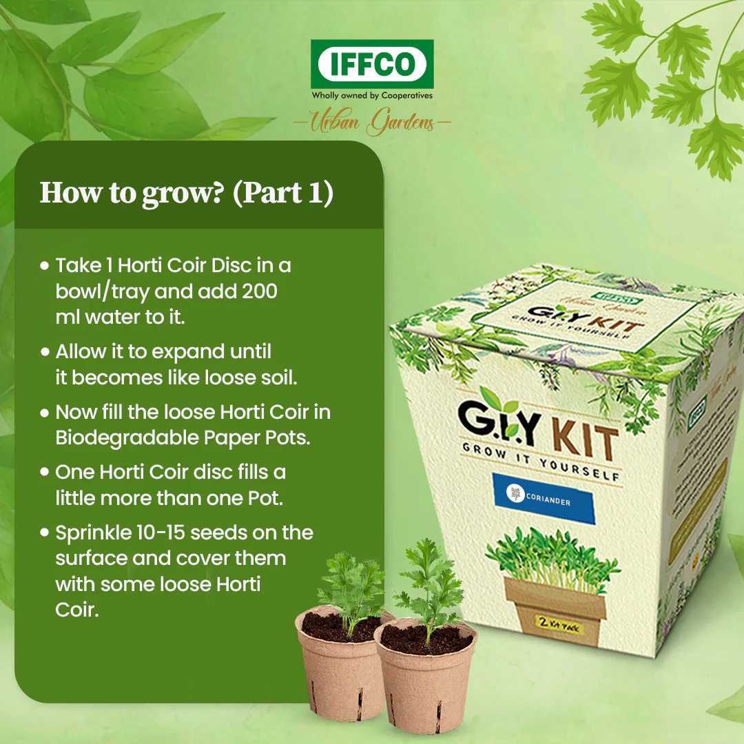 Grow It Yourself (GIY) Kit - BASIL (2 Pot Pack) - Image 4