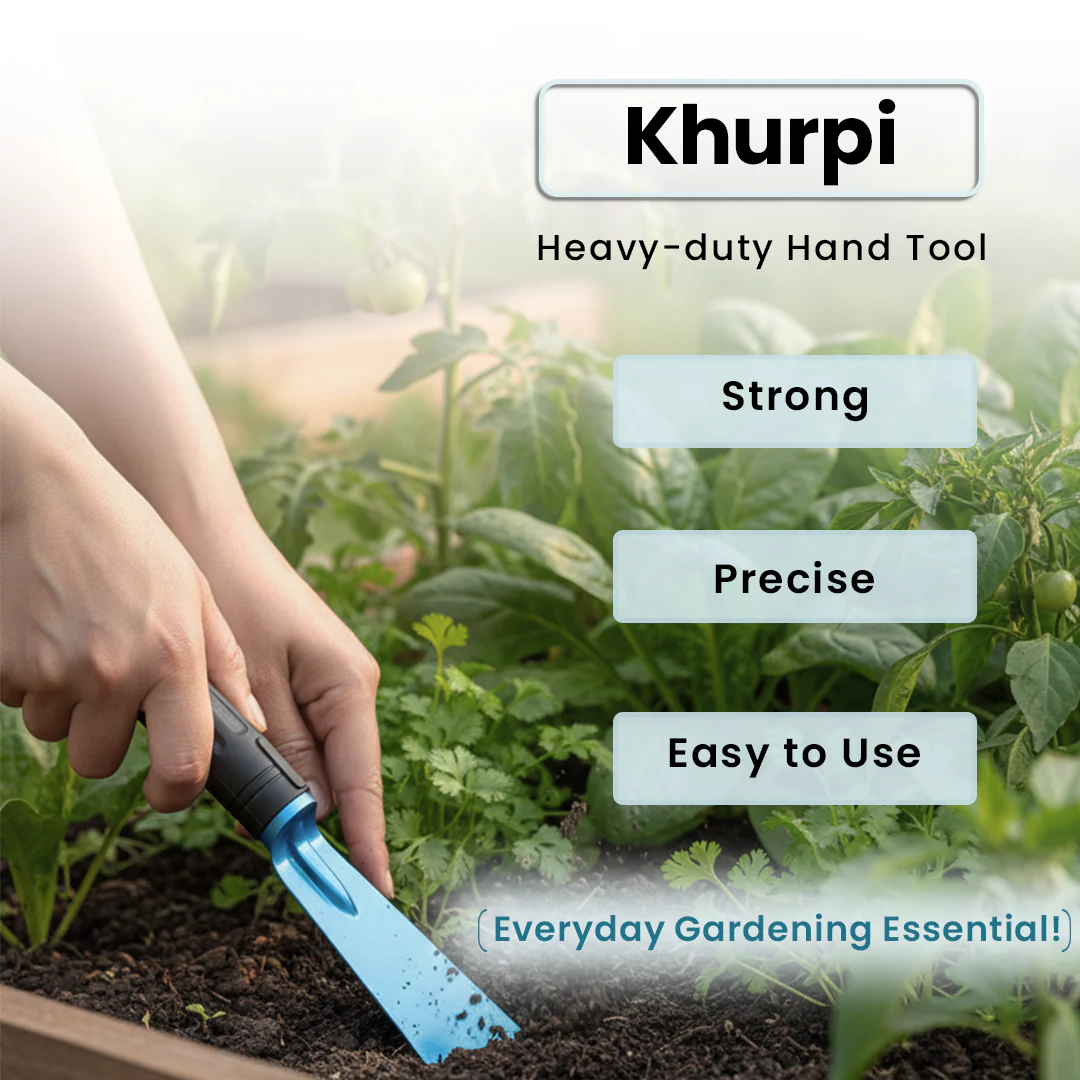 Khurpi - 2 Inch - Image 6
