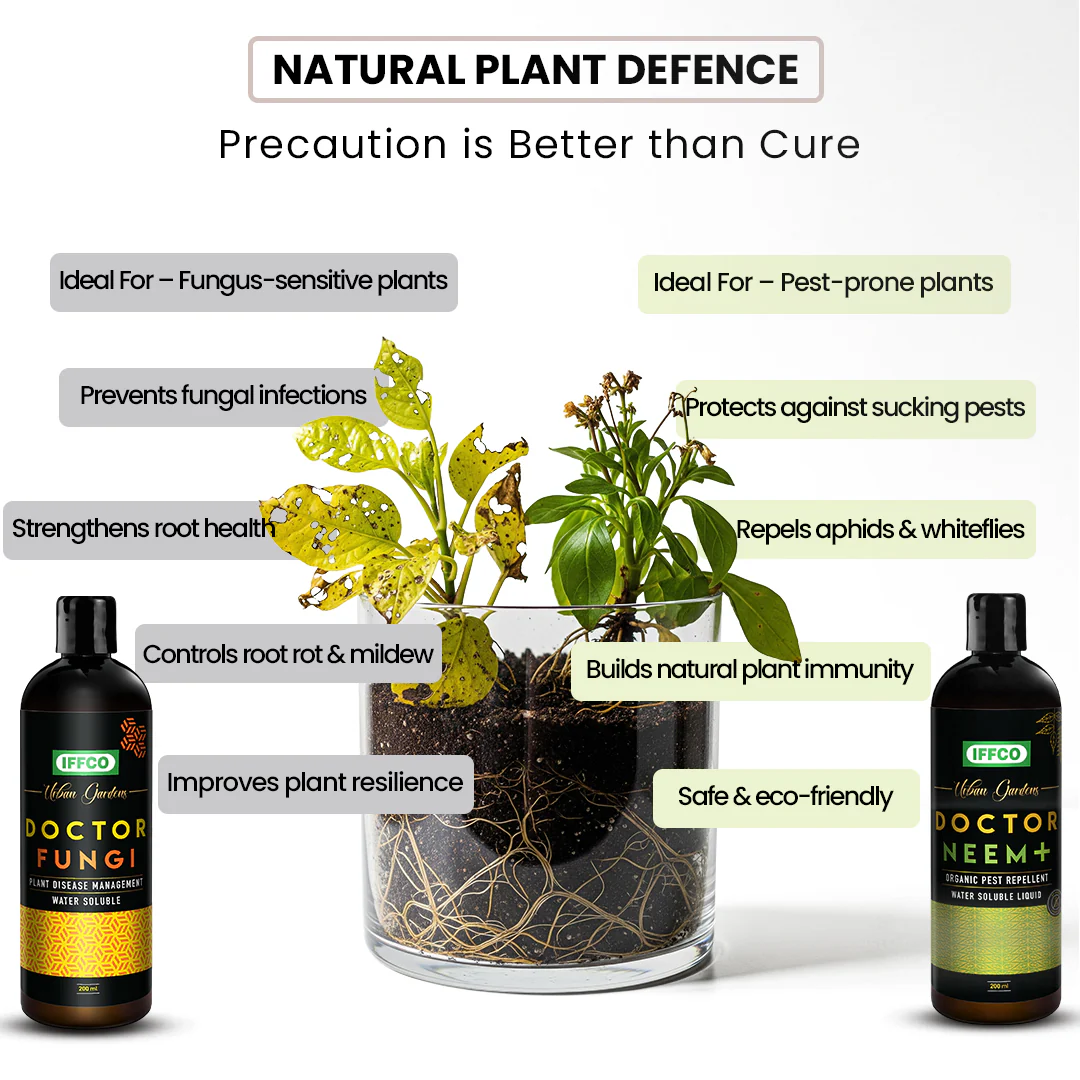 Magic Soil + Nutrition & Protection with 2L Sprayer Combo - Image 4
