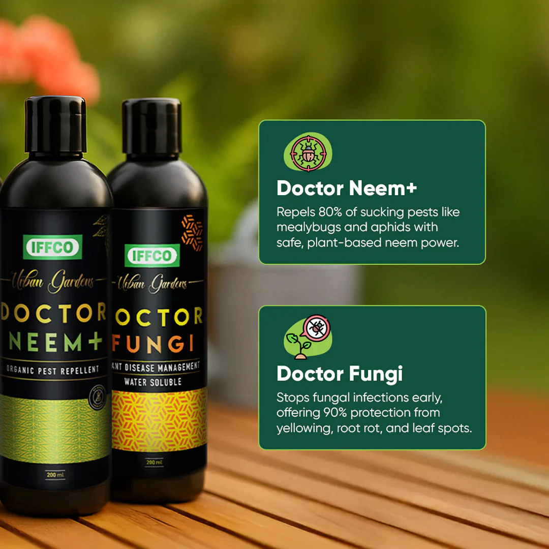 Nutrition & Protection Combo - Image 4