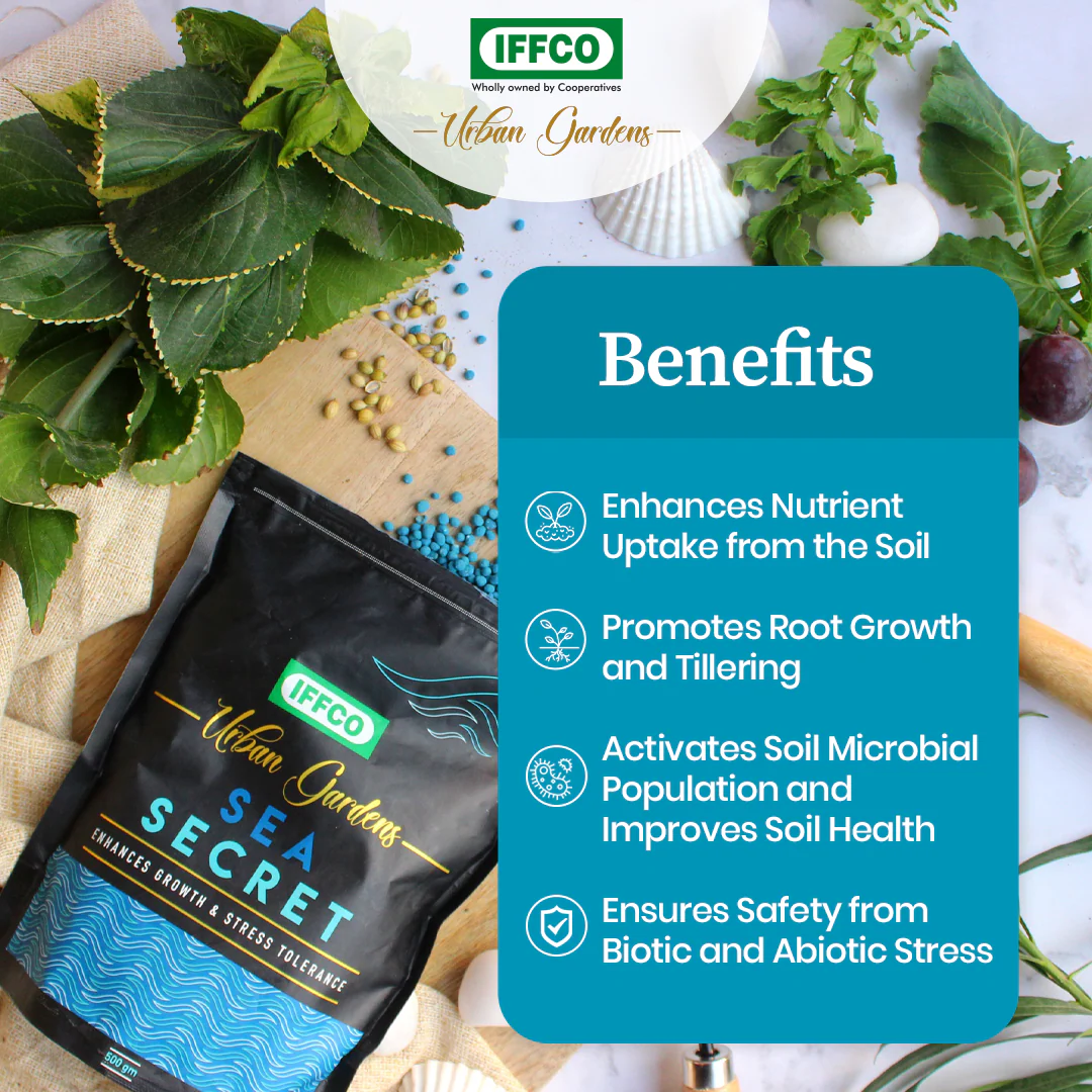 Sea Secret - Organic Seaweed Extract, Slow Release Granules - Image 3