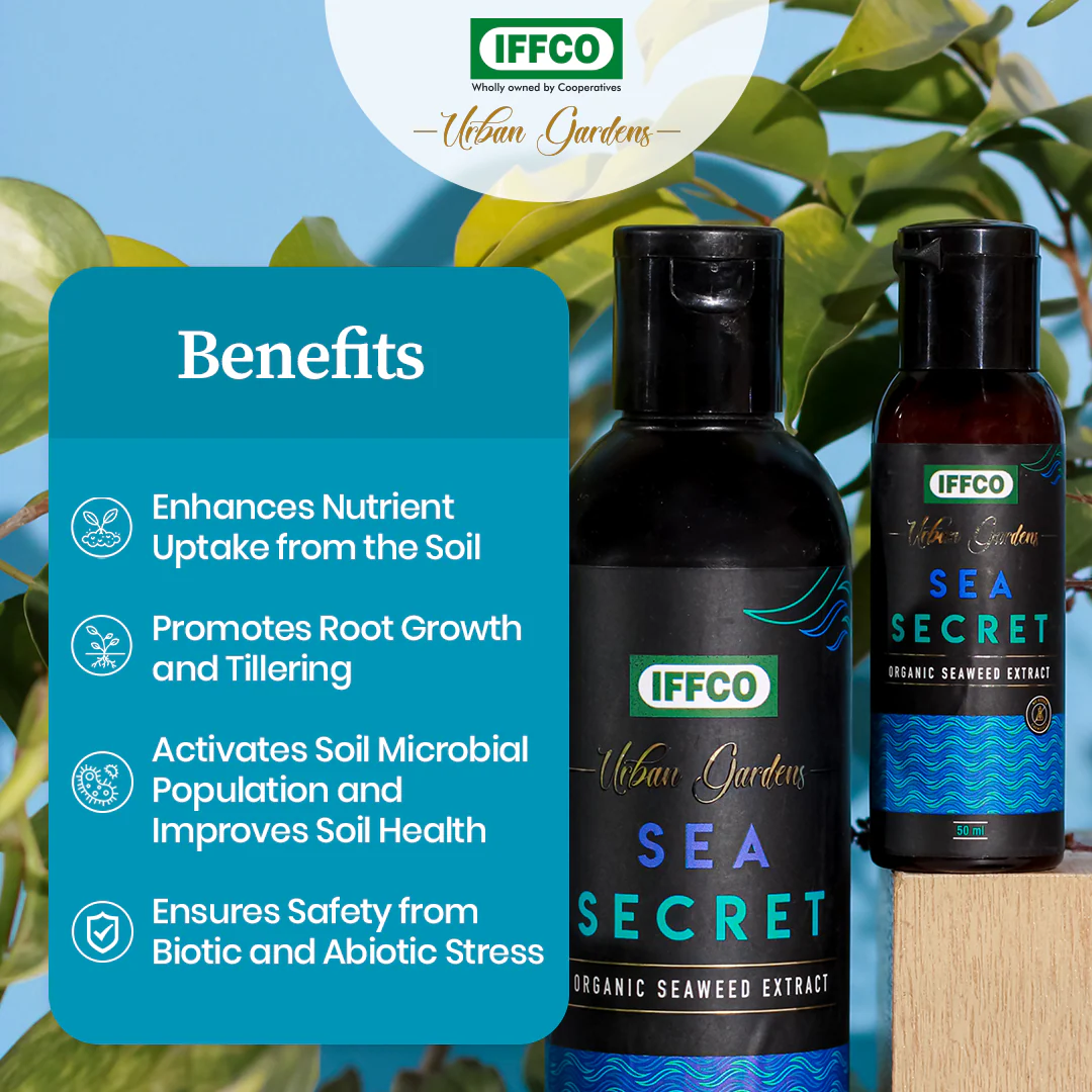 Sea Secret - Organic Seaweed Extract, Water Soluble Liquid - Image 3