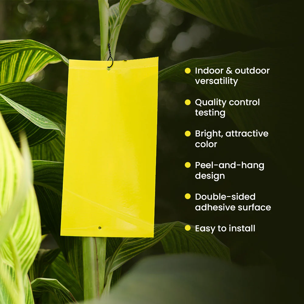 Sticky Traps - High-Quality, Durable Traps - Image 4