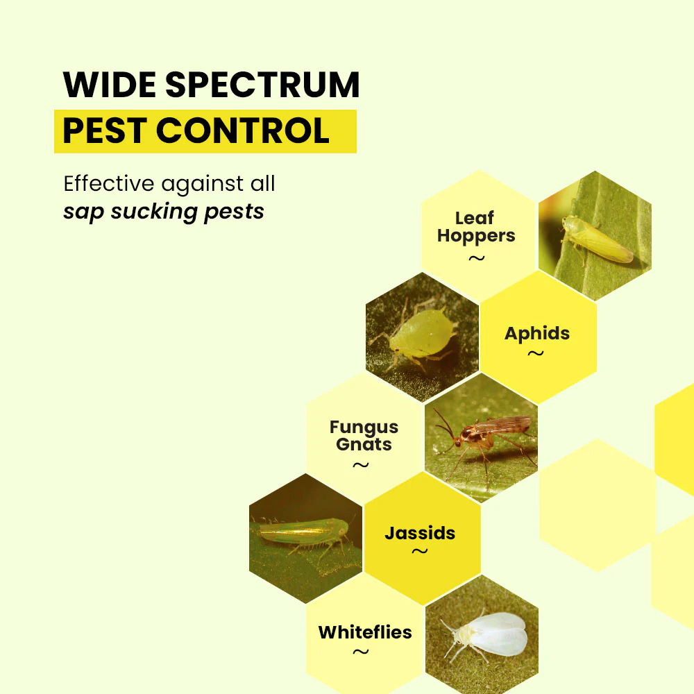 Sticky Traps - High-Quality, Durable Traps - Image 5