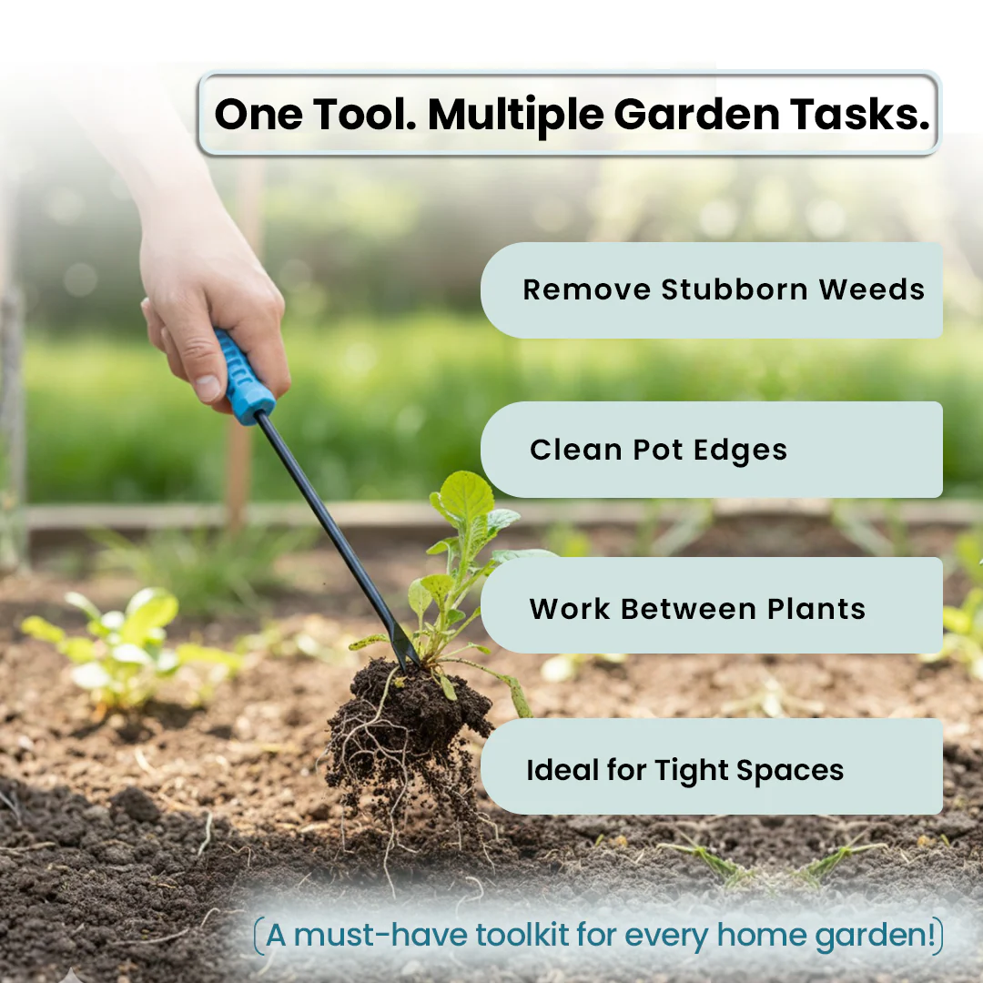 Weeder - Image 3