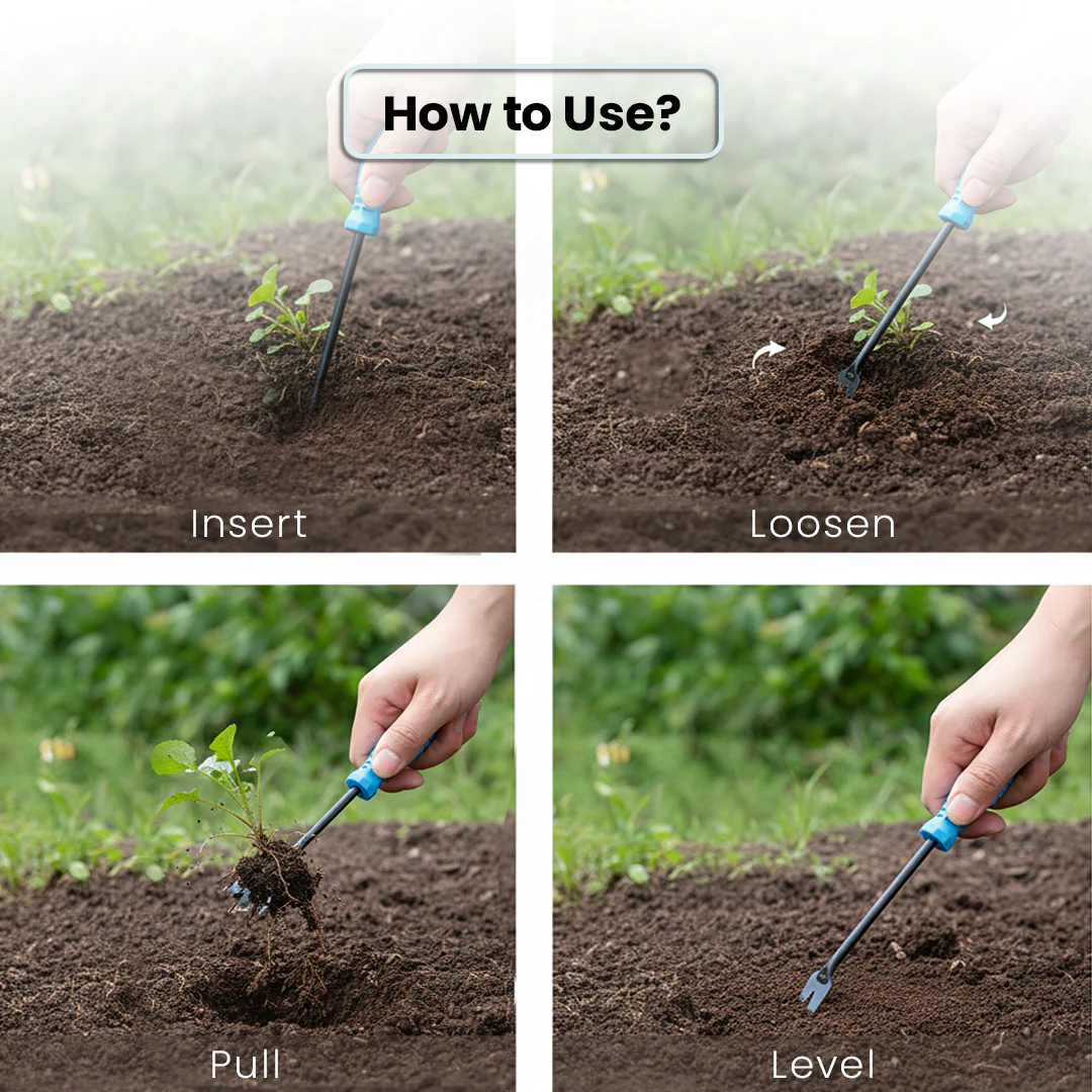 Weeder - Image 5